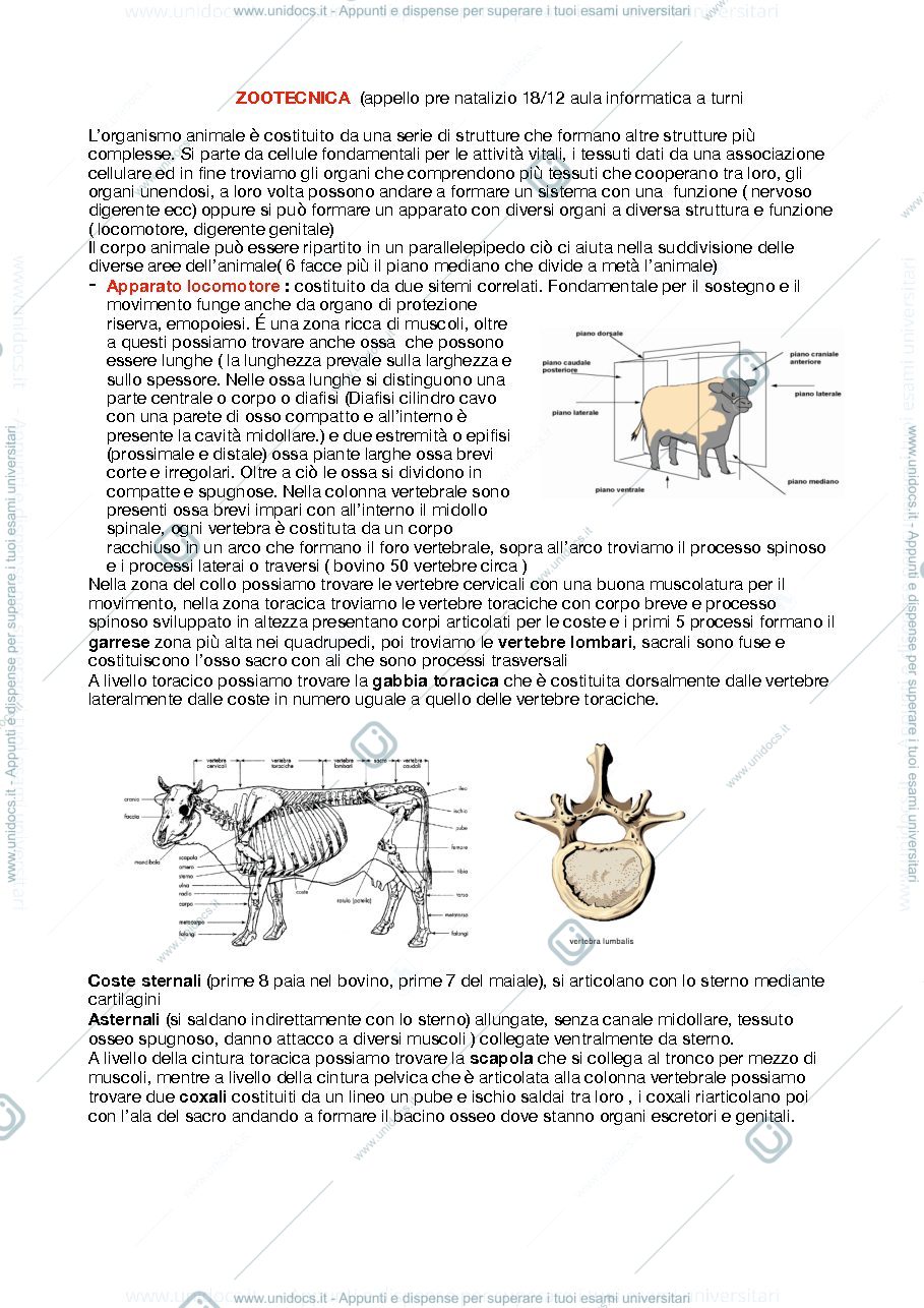 Anteprima pagina 1 — zootecnica 