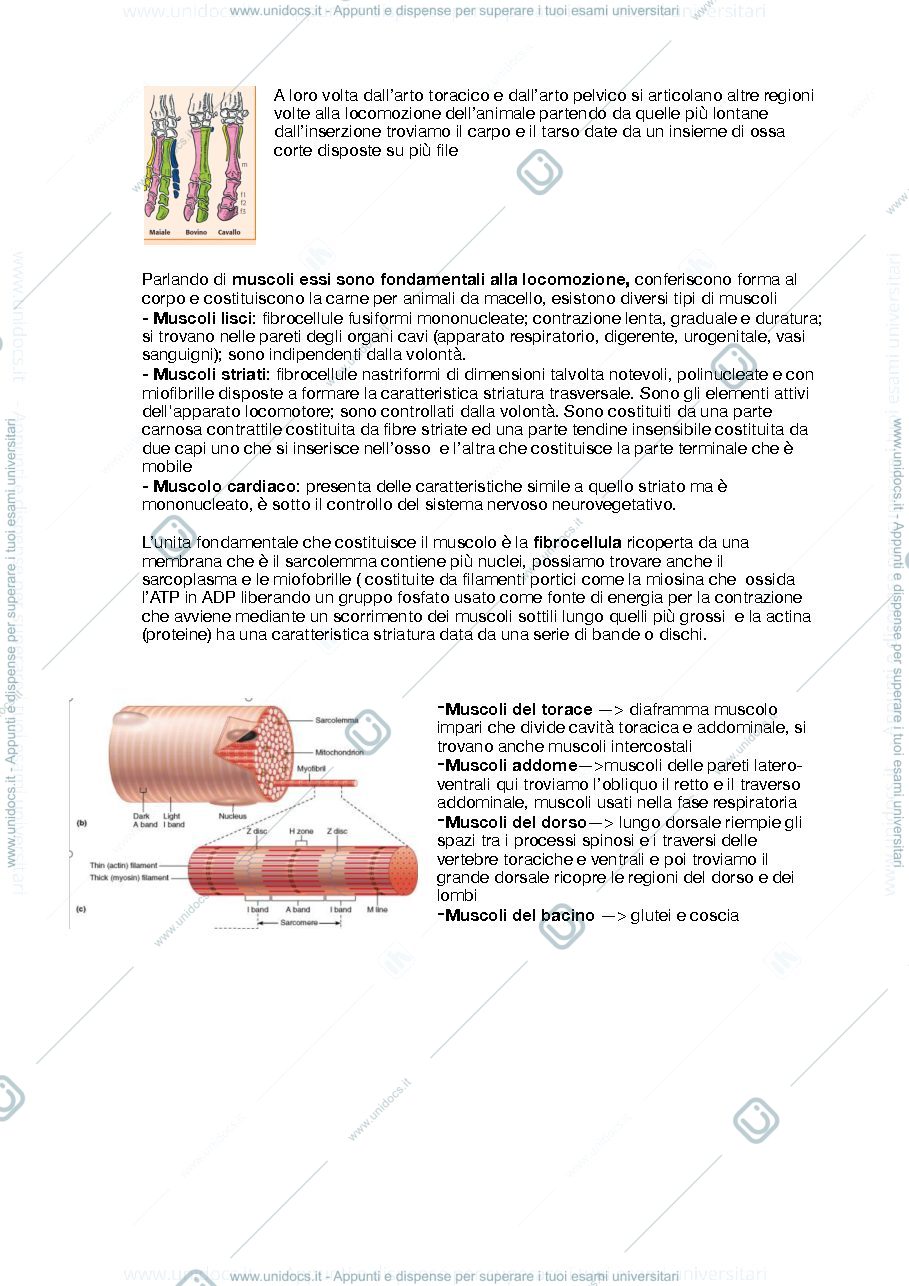 Anteprima pagina 2 — zootecnica 