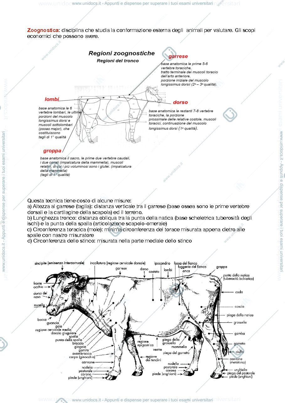 Anteprima pagina 3 — zootecnica 