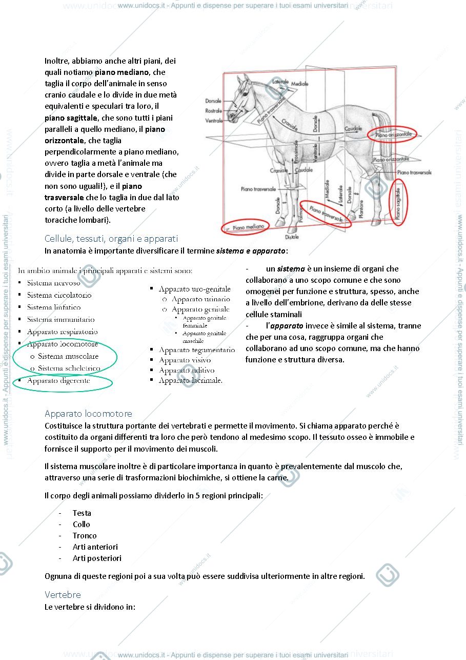 Anteprima pagina 2 — Zootecnia