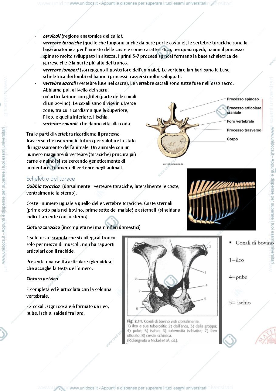 Anteprima pagina 3 — Zootecnia
