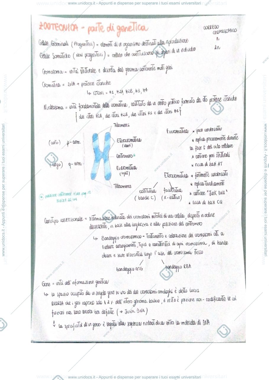 Anteprima pagina 1 — appunti zootecnica 