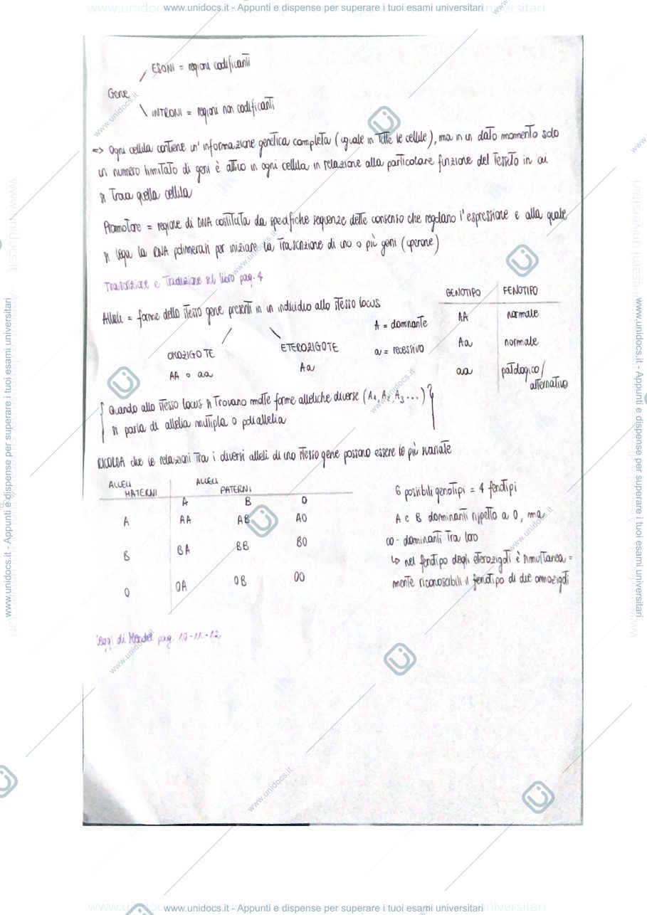 Anteprima pagina 2 — appunti zootecnica 
