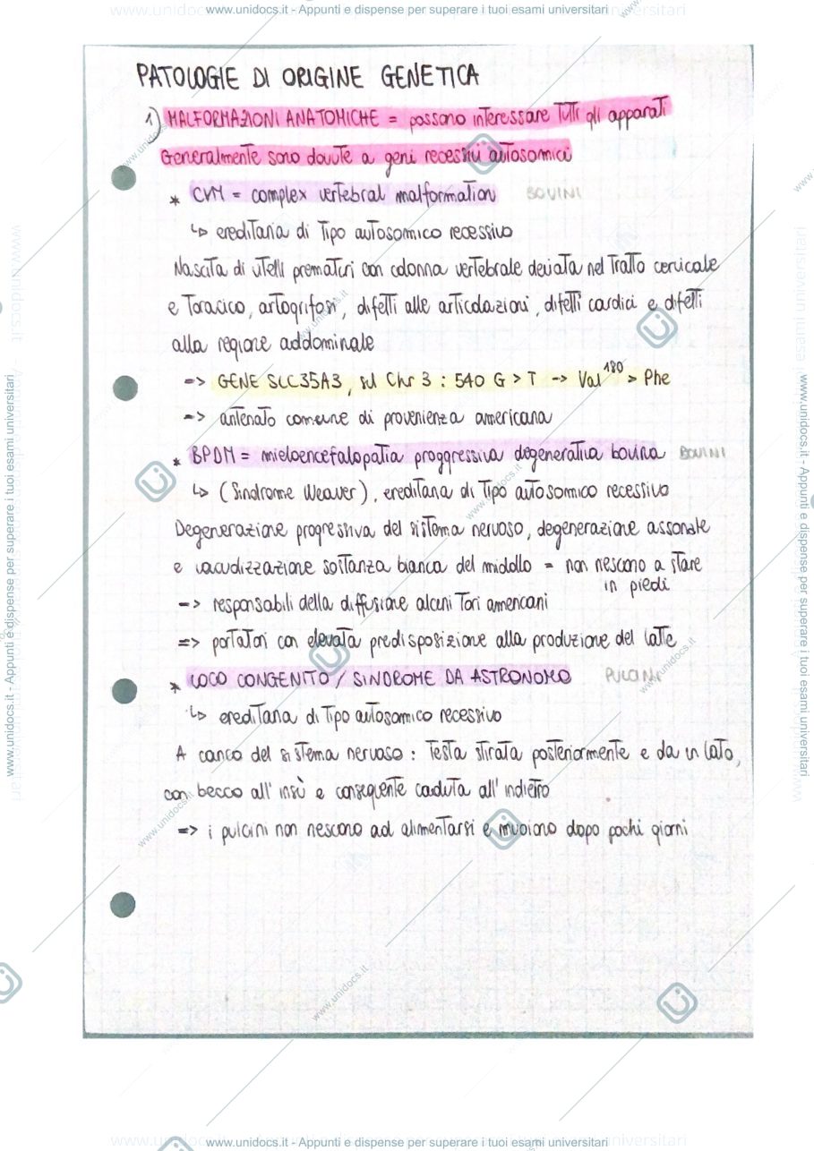 Anteprima pagina 1 — patologie di origine genetica
